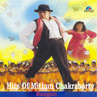 Thumbnail for the Soham - Julie Julie (From "Jeete Hain Shaan Se") link, provided by host site