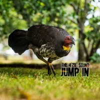 Thumbnail for the The 4'20' Sound - Jump In link, provided by host site