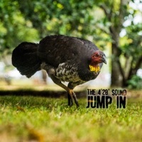 Thumbnail for the The 4'20' Sound - Jump In link, provided by host site