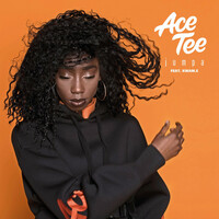 Thumbnail for the Ace Tee - Jumpa link, provided by host site