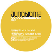 Thumbnail for the Gerwin - Junction 12 Sampler 3 link, provided by host site