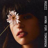 Image of Rozzi linking to their artist page due to link from them being at the top of the main table on this page