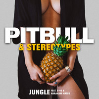 Thumbnail for the Pitbull - Jungle link, provided by host site