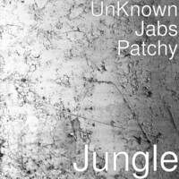 Thumbnail for the Unknown - Jungle link, provided by host site