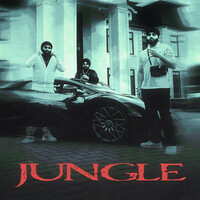 Thumbnail for the Chani Nattan - Jungle link, provided by host site