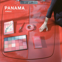 Image of Panama linking to their artist page due to link from them being at the top of the main table on this page