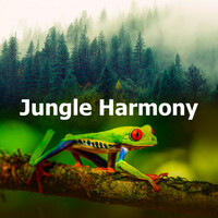 Thumbnail for the Deep Forest - Jungle Harmony link, provided by host site