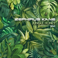 Image of Zephirus Kane linking to their artist page due to link from them being at the top of the main table on this page
