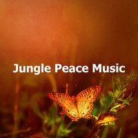 Thumbnail for the Deep Forest - Jungle Peace Music link, provided by host site