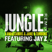 Thumbnail for the X Ambassadors - Jungle (Remix) link, provided by host site