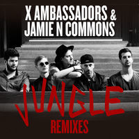 Thumbnail for the X Ambassadors - Jungle (Remixes) link, provided by host site