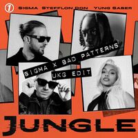 Thumbnail for the Sigma - JUNGLE (Sigma x Bad Patterns Edit) link, provided by host site