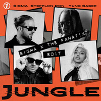 Thumbnail for the Sigma - JUNGLE (Sigma x The FaNaTiX Edit) link, provided by host site