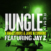 Thumbnail for the X Ambassadors - Jungle link, provided by host site