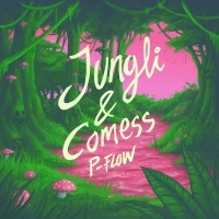 Thumbnail for the P-Flow - Jungli & Comess link, provided by host site