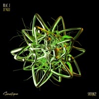 Thumbnail for the Blac J - Jungli link, provided by host site