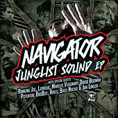 Thumbnail for the The Navigator - Junglist Sound link, provided by host site