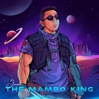 Thumbnail for the Juni - Juni, The Mambo King link, provided by host site