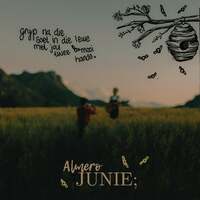 Thumbnail for the Almero - Junie; link, provided by host site
