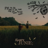 Thumbnail for the Almero - Junie; link, provided by host site