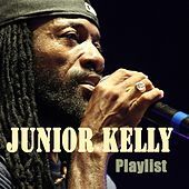 Thumbnail for the Junior Kelly - Junior Kelly : Playlist link, provided by host site