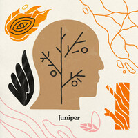 Thumbnail for the ZES - Juniper link, provided by host site