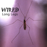 Thumbnail for the The Wired Band - Just For Kicks link, provided by host site