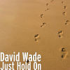 Thumbnail for the David Wade - Just Hold On link, provided by host site