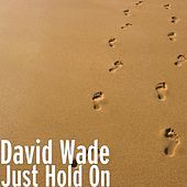 Thumbnail for the David Wade - Just Hold On link, provided by host site