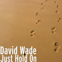 Thumbnail for the David Wade - Just Hold On link, provided by host site