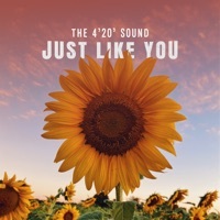 Thumbnail for the The 4'20' Sound - Just Like You link, provided by host site