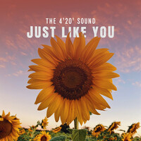 Thumbnail for the The 4'20' Sound - Just Like You link, provided by host site