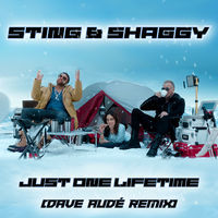 Thumbnail for the Sting - Just One Lifetime (Dave Audé Remix) link, provided by host site