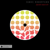 Thumbnail for the James Robertson - Just Say It link, provided by host site