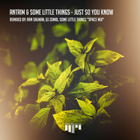Thumbnail for the Antrim - Just So You Know link, provided by host site