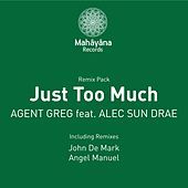 Thumbnail for the Agent Greg - Just Too Much link, provided by host site