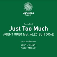 Thumbnail for the Agent Greg - Just Too Much link, provided by host site