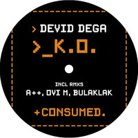 Image of Devid Degà linking to their artist page due to link from them being at the top of the main table on this page