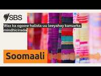 Thumbnail for the Wax - Ka ogoow halista uu leeyahay kansarka mindhicirada | SBS Somali - SBS Afsomali link, provided by host site