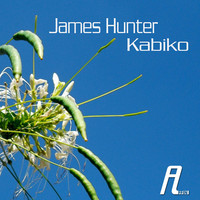 Image of James Hunter linking to their artist page due to link from them being at the top of the main table on this page