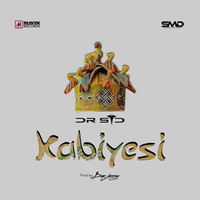 Thumbnail for the Dr Sid - Kabiyesi link, provided by host site