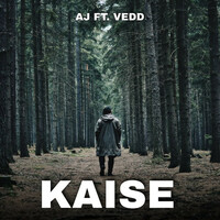 Thumbnail for the P!nk - Kaise link, provided by host site