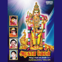 Thumbnail for the P Unni Krishnan - Kaividu link, provided by host site