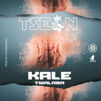 Thumbnail for the T-Sean - Kale Twalaba link, provided by host site