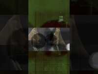 Thumbnail for the Kaleida - #kaleida #newmusic #shorts link, provided by host site
