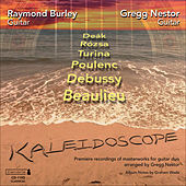 Thumbnail for the Gregg Nestor - Kaleidoscope link, provided by host site