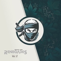Thumbnail for the Xander Sallows - Kaleidoscope link, provided by host site