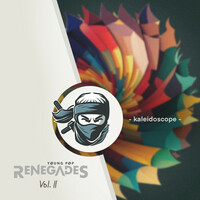 Thumbnail for the Xander Sallows - kaleidoscope (from Young Pop Renegades, Vol. 2) link, provided by host site