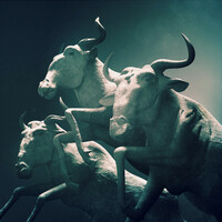 Thumbnail for the Polynation - Kali link, provided by host site