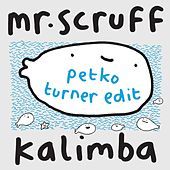 Thumbnail for the Mr. Scruff - Kalimba (Petko Turner Edit) link, provided by host site